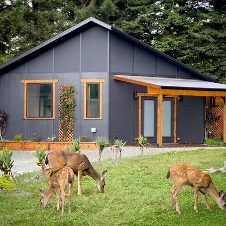 New, Modern, Country-Feel, Close To Arcata Exterior photo