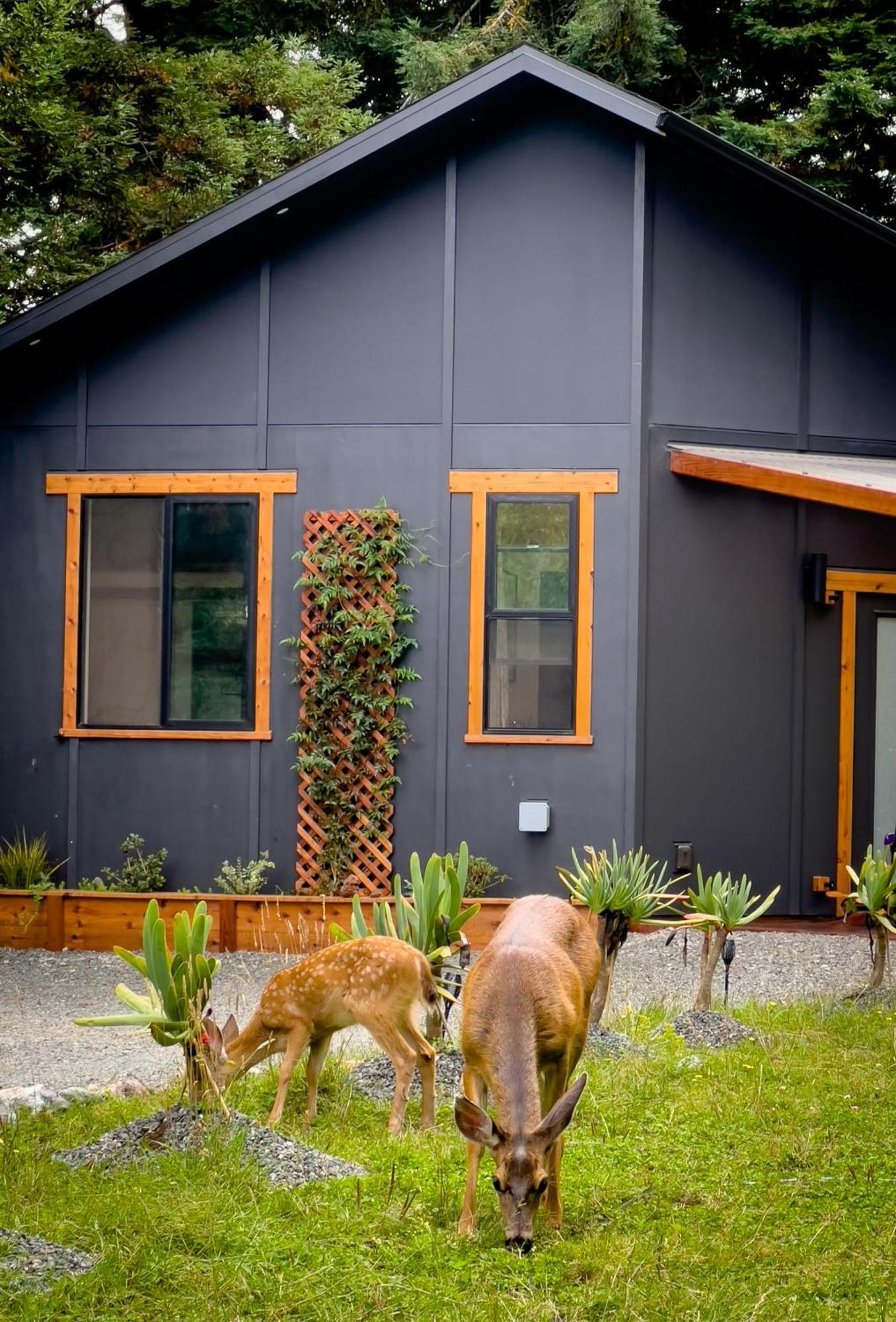 New, Modern, Country-Feel, Close To Arcata Exterior photo
