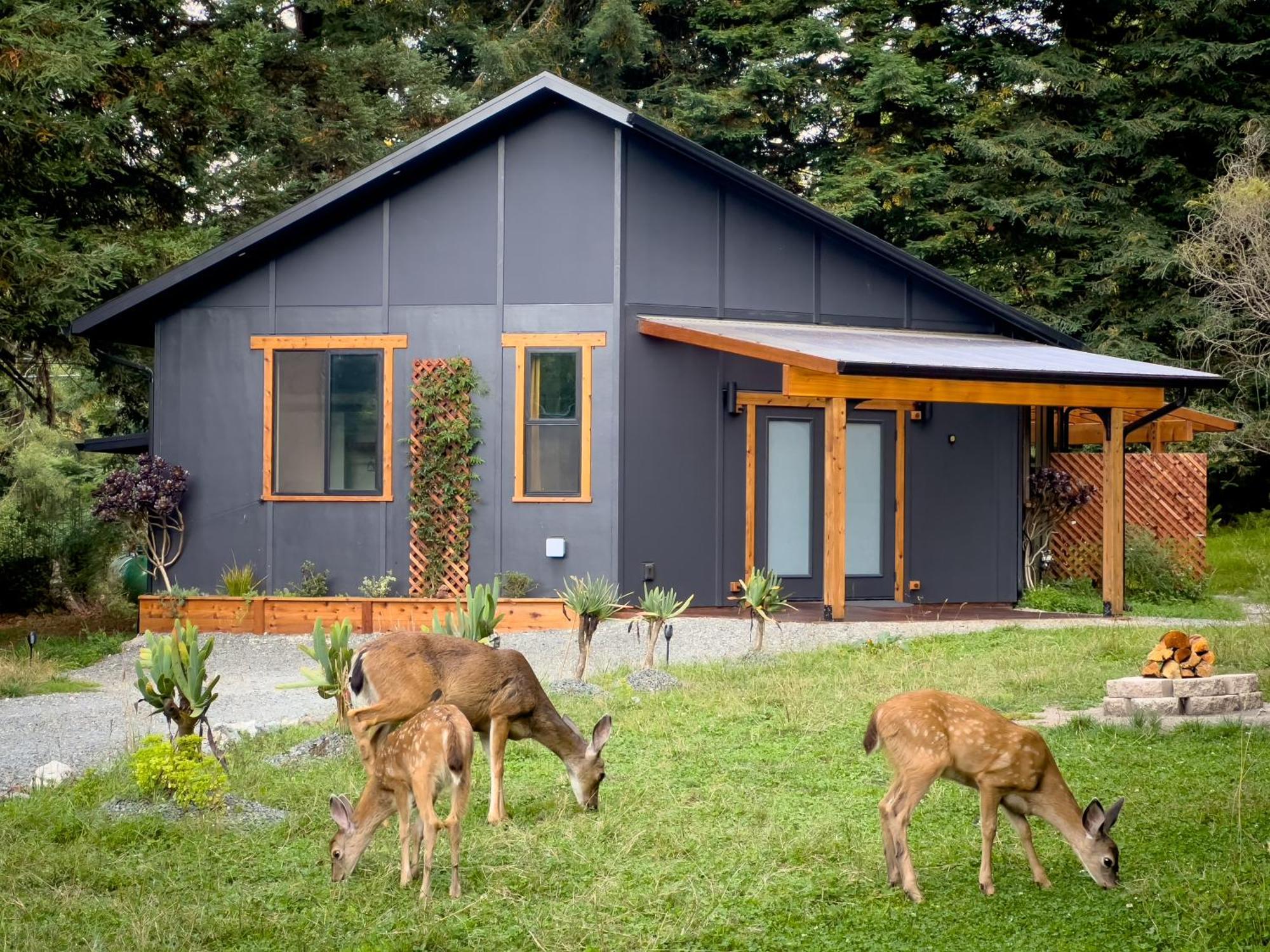 New, Modern, Country-Feel, Close To Arcata Exterior photo